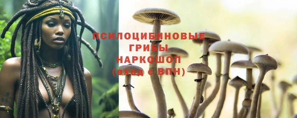 мяу мяу мука Абаза