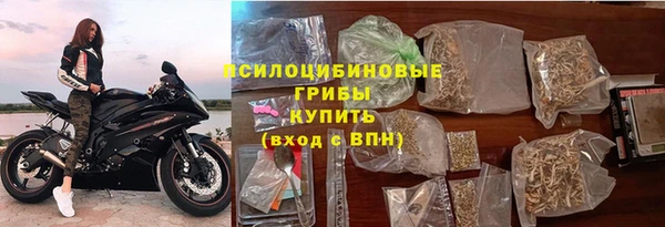 мяу мяу мука Абаза