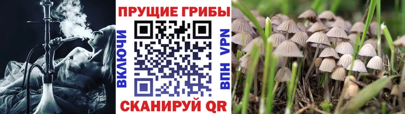 Псилоцибиновые грибы ЛСД цены наркотик Домодедово